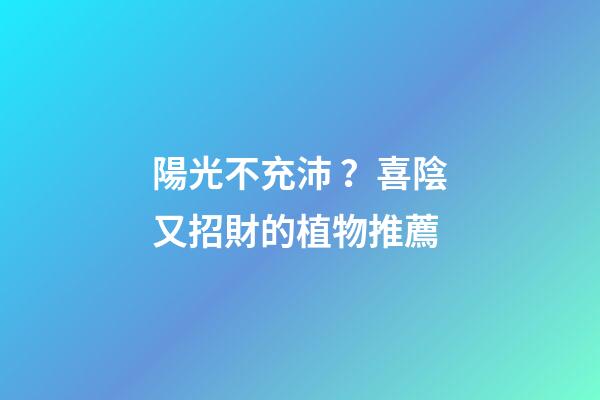 陽光不充沛？喜陰又招財的植物推薦